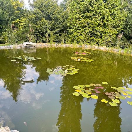 Moderne, Ruhige Ferienwohnung , Ideal Zum Abschalten Hadamar Zewnętrze zdjęcie